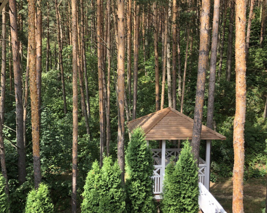 Номер 3/1